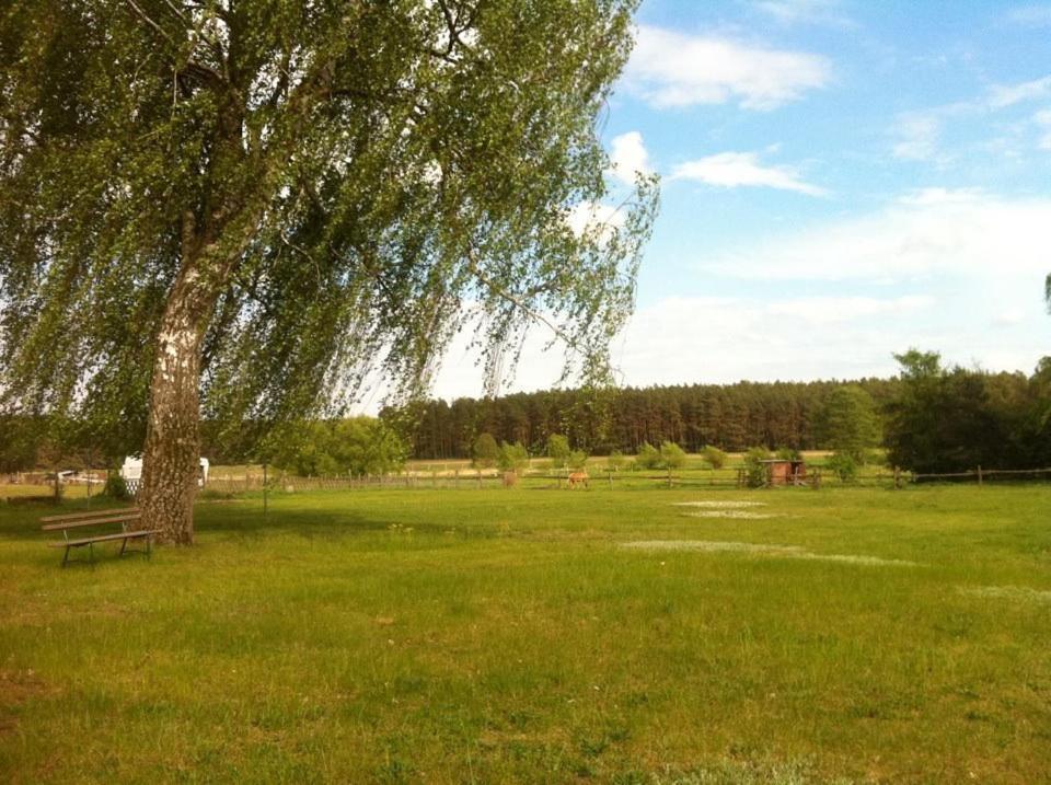 Landhotel Am Peetscher See Mirow Luaran gambar